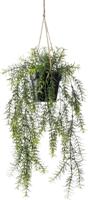 Emerald kunstplant hangend in pot asparagus 50 cm - thumbnail