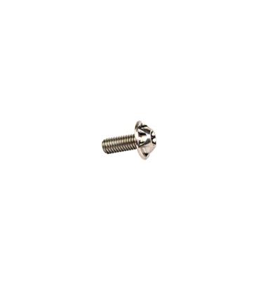 SILCA bevestigingsbout screw silver 4pcs.