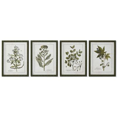 Schilderij Home ESPRIT Groen Beige Shabby Chic Botanische planten 30 x 2,5 x 40 cm (4 Stuks)