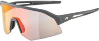 Alpina Sonic HR QV - Sports Glasses - thumbnail