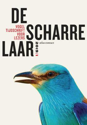 De scharrelaar - 2019/1 - Diverse auteurs - ebook