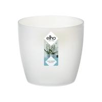 Brussels orchidee bloempot 12,5 cm transparant elho - Elho - thumbnail