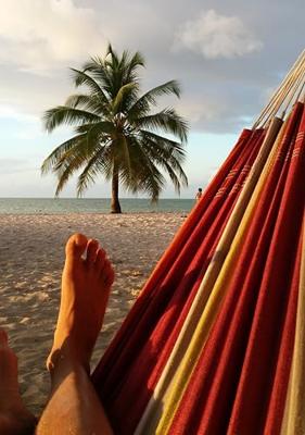 Amazonas Barbados Acerola hangmat Amazonas Barbados Acerola hangmat