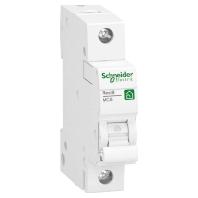 Schneider Electric R9F27110 Zekeringautomaat