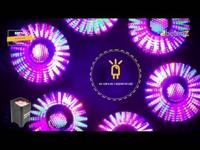 Beamz BBP96 Uplighter set 8 met flightcase - thumbnail