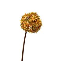 Roberts Collection Kunstbloem allium bol 60cm okergeel - thumbnail