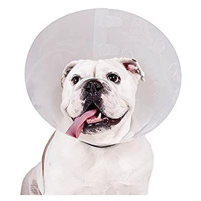 Lampenkap voor honden KVP Check Transparant (22-27 cm)