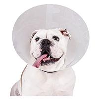 Lampenkap voor honden KVP Check Transparant (22-27 cm) - thumbnail