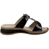 Ara 1229003 - alle - thumbnail