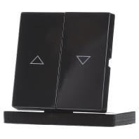 Busch-Jaeger 2CKA001751A2934 Jaloezie-schakelaar Afdekking Future lineair Antraciet, Zwart-grijs 1 stuk(s) - thumbnail