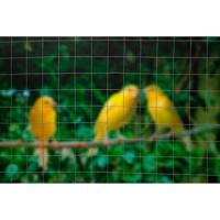 Nature gaas vierkant 0,5x5 m 13 mm gegalvaniseerd staal - thumbnail