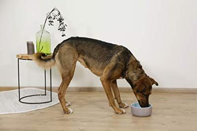 Voederbak ceramic grijs turquoise 500ml