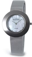 Horlogeband Skagen 569STW Staal 14mm - thumbnail