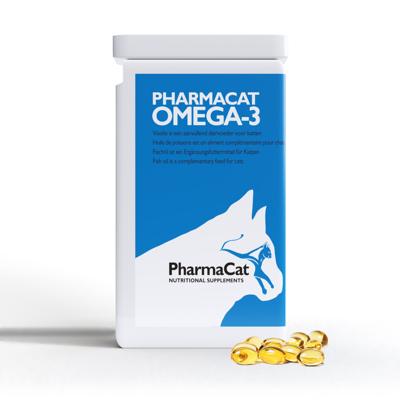 Omega-3 kat Omega-3 kat
