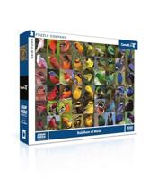 New York Puzzle Company Regenboog van Vogels - 1000 stukjes - thumbnail