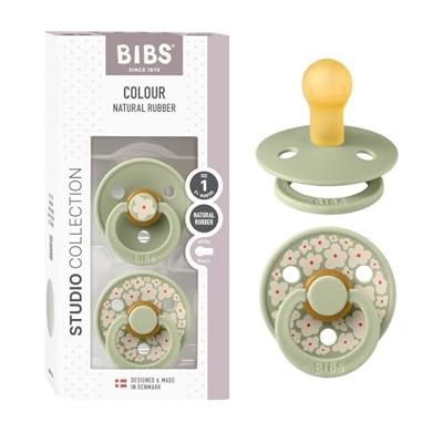 Set van 2 Colour-fopspenen, maat 1 BIBS saliegroen - thumbnail