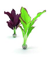BiOrb zijden aquarium planten medium groen & paars aquarium decoratie - thumbnail