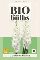 Bio gladiool essential - thumbnail