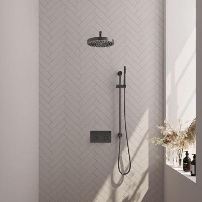 Brauer Stripe thermostatische inbouw regendouche met drukknoppen SET 32 met 25 cm douchekop en gebogen muurarm en staaf handdouche en doucheslang en geintegreerde glijstang gunmetal geborsteld PVD