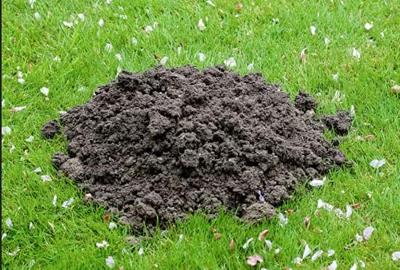 BSi Mollen weg 50 geurzakjes