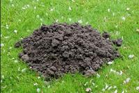 BSi Mollen weg 50 geurzakjes - thumbnail