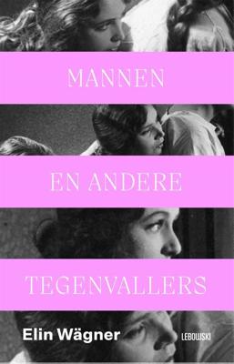 Mannen en andere tegenvallers - Elin Wägner - ebook