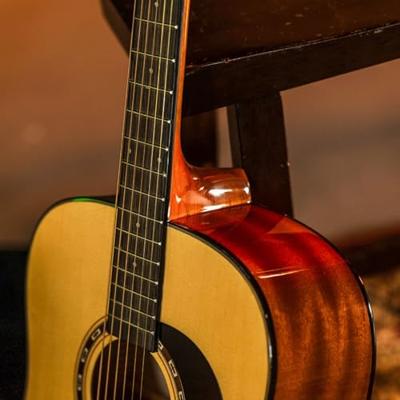 Washburn Apprentice D5 westerngitaar - thumbnail