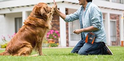 AFP Outdoor Dog - Treat Bag