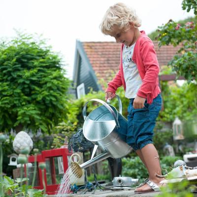 Gieter verzinkt 9 liter met sproeikop Gieter verzinkt 9 liter met sproeikop
