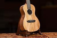 Ortega Horizon Series RUMG concert ukelele met gigbag - thumbnail