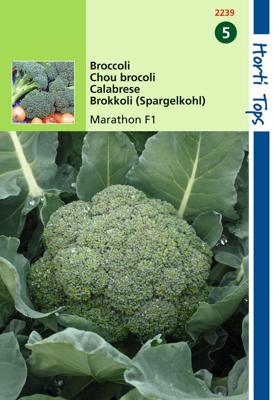 Zaden Broccoli Marathon F1 Hortitops - Hortitops