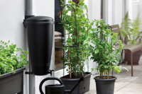 Green Basics Rain Catcher 35 liter regenton zwart elho - Elho - thumbnail