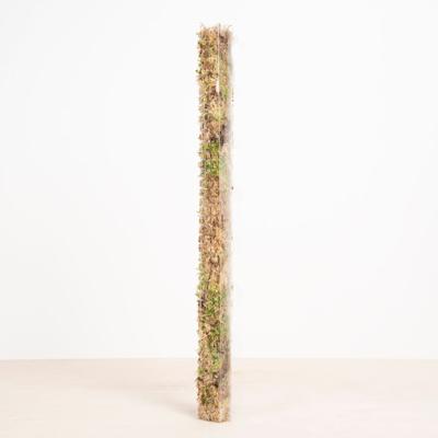 Transparante Klimpaal - S Transparante Klimpaal - S