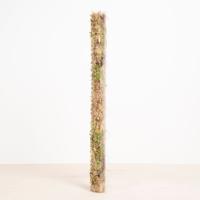 Transparante Klimpaal - S - thumbnail