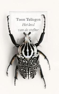 Het leed van de stoftor