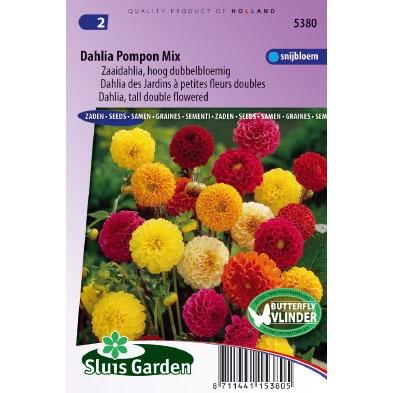 Zaaidahlia hoog dubbelbloemig bloemzaden - Dahlia Pompon Mix Zaaidahlia hoog dubbelbloemig bloemzaden - Dahlia Pompon Mix