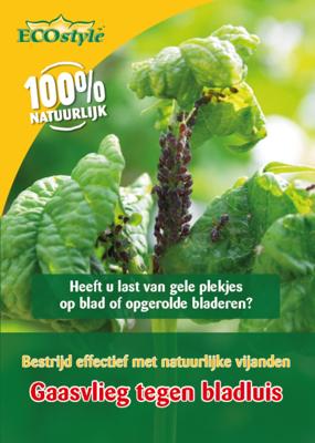 Ecostyle gaasvlieg tegen bladluis 50 m²