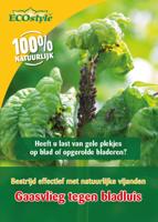 Gaasvlieg tegen bladluis ECOstyle - Ecostyle natuurlijke vijanden - thumbnail