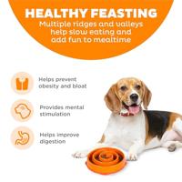 Imp Slo-bowl feeder mini coral spiraal oranje - thumbnail