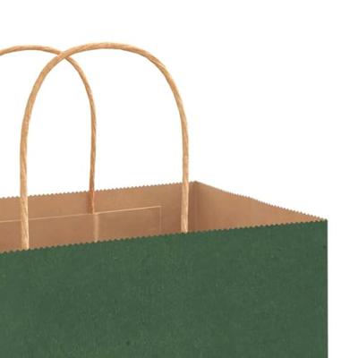 VidaXL Papieren zakken 250 st met hengsels 21x11x36 cm groen