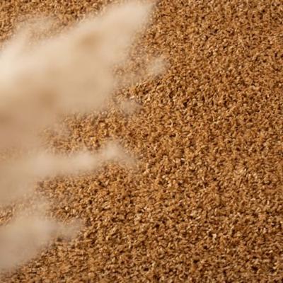 Tapeso Rond hoogpolig vloerkleed shaggy Trend effen - goud - 300 cm