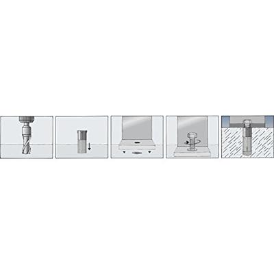 Fischer M 12 Plug 65 mm 24 mm 50512 5 stuk(s)