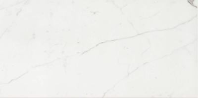 Vloer-/wandtegel marmerlook Cerim Timeless 120x60cm calacatta glans gerectificeerd