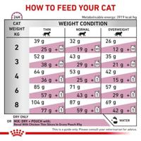 Royal Canin Cat Renal Special Dry 4kg - thumbnail