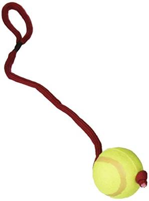 TRIXIE TENNISBAL AAN KOORD ASSORTI 50X6X6 CM 3 ST