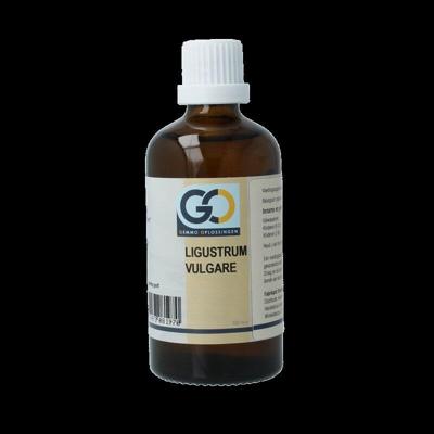 GO Ligustrum vulgare 100 Milliliter GO Ligustrum vulgare 100 Milliliter