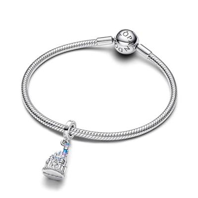 Sieraad Dames Pandora 793348C01