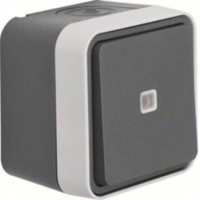 Berker 31763505 W.1 (opbouw) Controleschakelaar, Wisselschakelaar spatwaterdicht Grijs, Lichtgrijs 1 stuk(s)