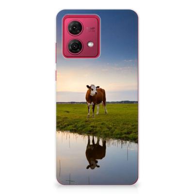 Motorola Moto G84 | TPU Hoesje | Koe Motorola Moto G84 | TPU Hoesje | Koe