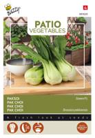 Patio Veggies Pak Choi Green zaden Buzzy - Buzzy - thumbnail